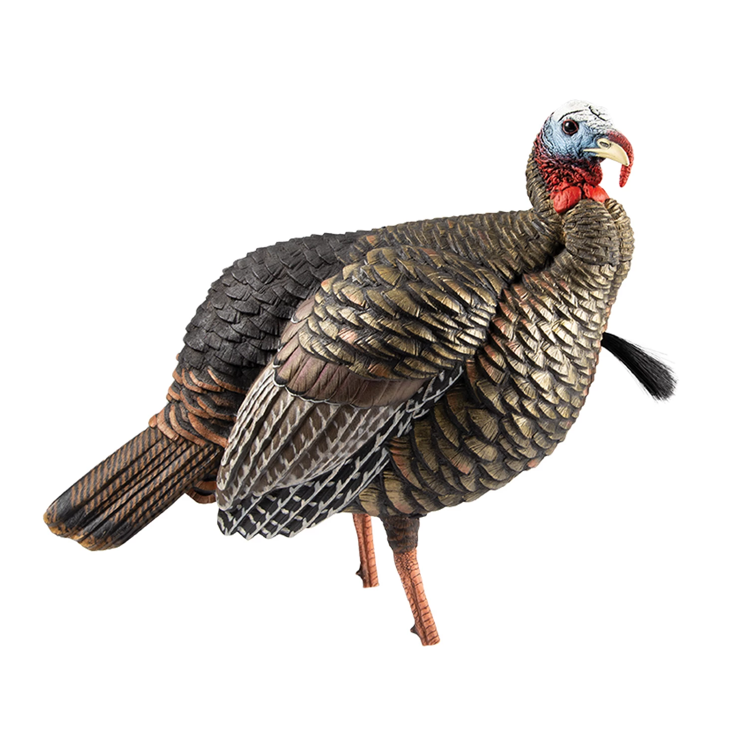 Avian-X Turkey Decoy HDR Jake Quarter-Strut AVX8105 1 Avian-X Turkey Decoy HDR Jake Quarter-Strut AVX8105