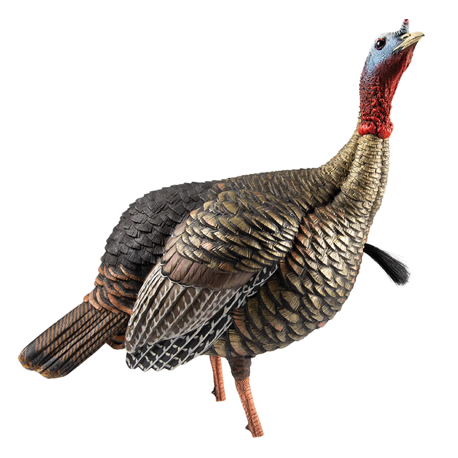 Avian-X Turkey Decoy HDR Jake Quarter-Strut AVX8105 2 Avian-X Turkey Decoy HDR Jake Quarter-Strut AVX8105 - Image 2