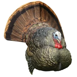 Avian-X Turkey Decoy LCD Strutter Tom AVX8004