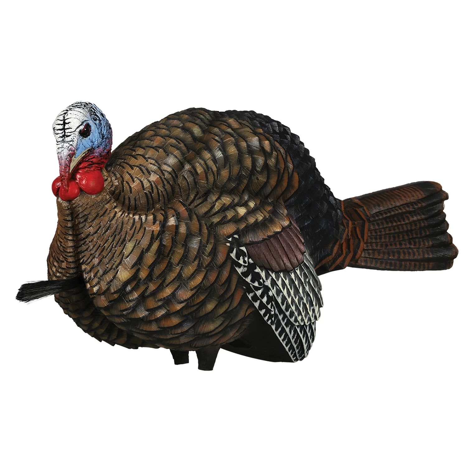 Avian-X Turkey Decoy LCD Half Strut Jake AVX8012 1 Avian-X Turkey Decoy LCD Half Strut Jake AVX8012