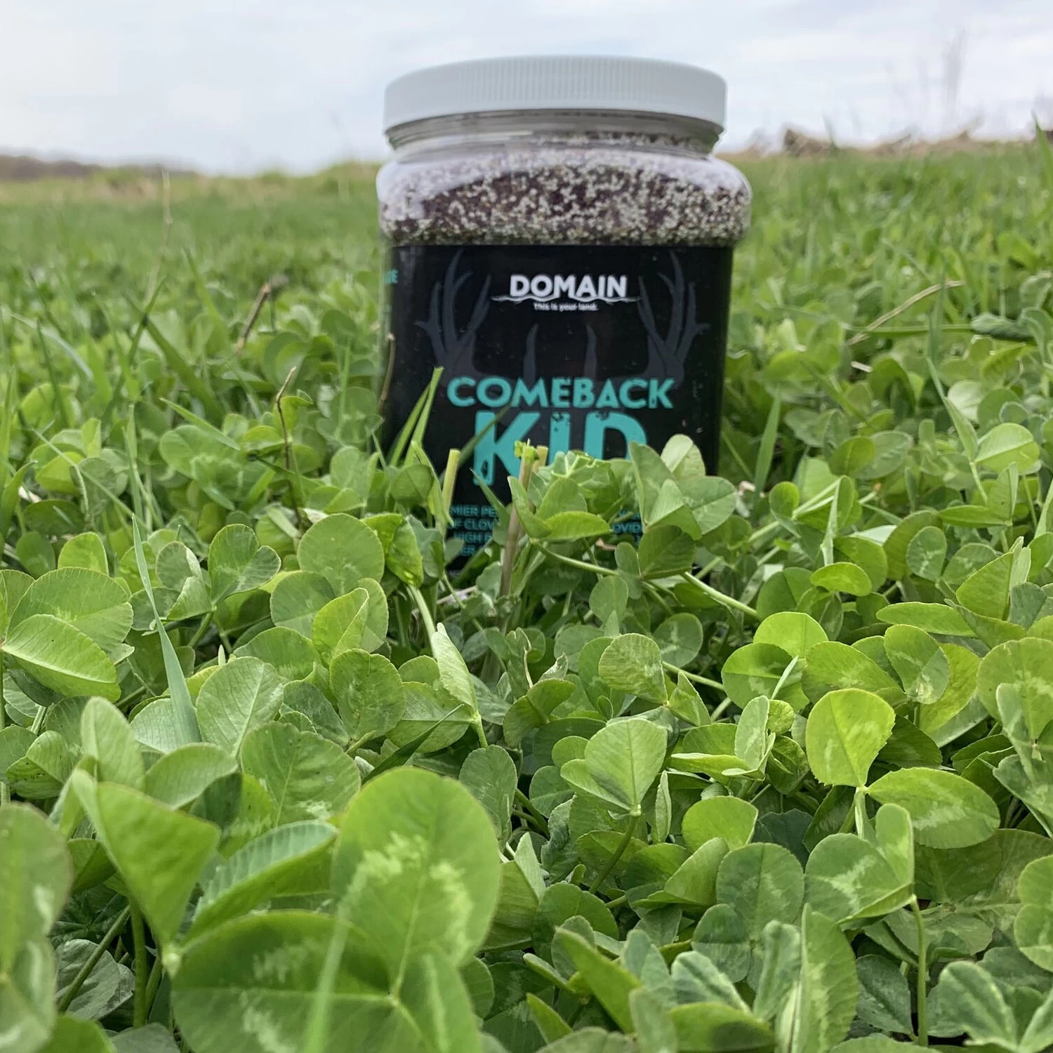 Domain Outdoor Food Plot Seed Comeback Kid 3.75lb Jug (Plants 1/2 ACRE) 2 Domain Outdoor Food Plot Seed Comeback Kid 3.75lb Jug (Plants 1/2 ACRE) - Image 2