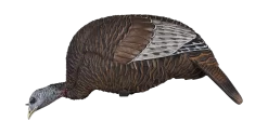Flextone Thunder Chick Feeder Turkey Decoy FLXDY314