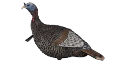 Flextone Thunder Jake Turkey Decoy FLXDY317