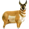 Montana Decoy Company Antelope Buck 38″x30″