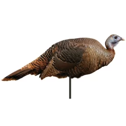 Montana Decoy Company Turkey Spring Fling Hen 2d Decoy