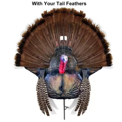 Farmstead Outdoors 13 Farmstead Outdoors -Farmstead Outdoors Montana 00077 Montana Decoy Wiley Tom Turkey 0077 Feathers