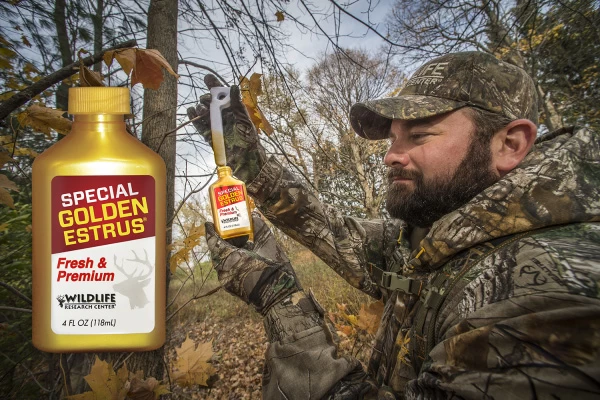 Wildlife Research Center Special Golden Estrus Doe Urine 1oz Bottle The Gold Standard 405 2 Wildlife Research Center Special Golden Estrus Doe Urine 1oz Bottle The Gold Standard 405 - Image 2